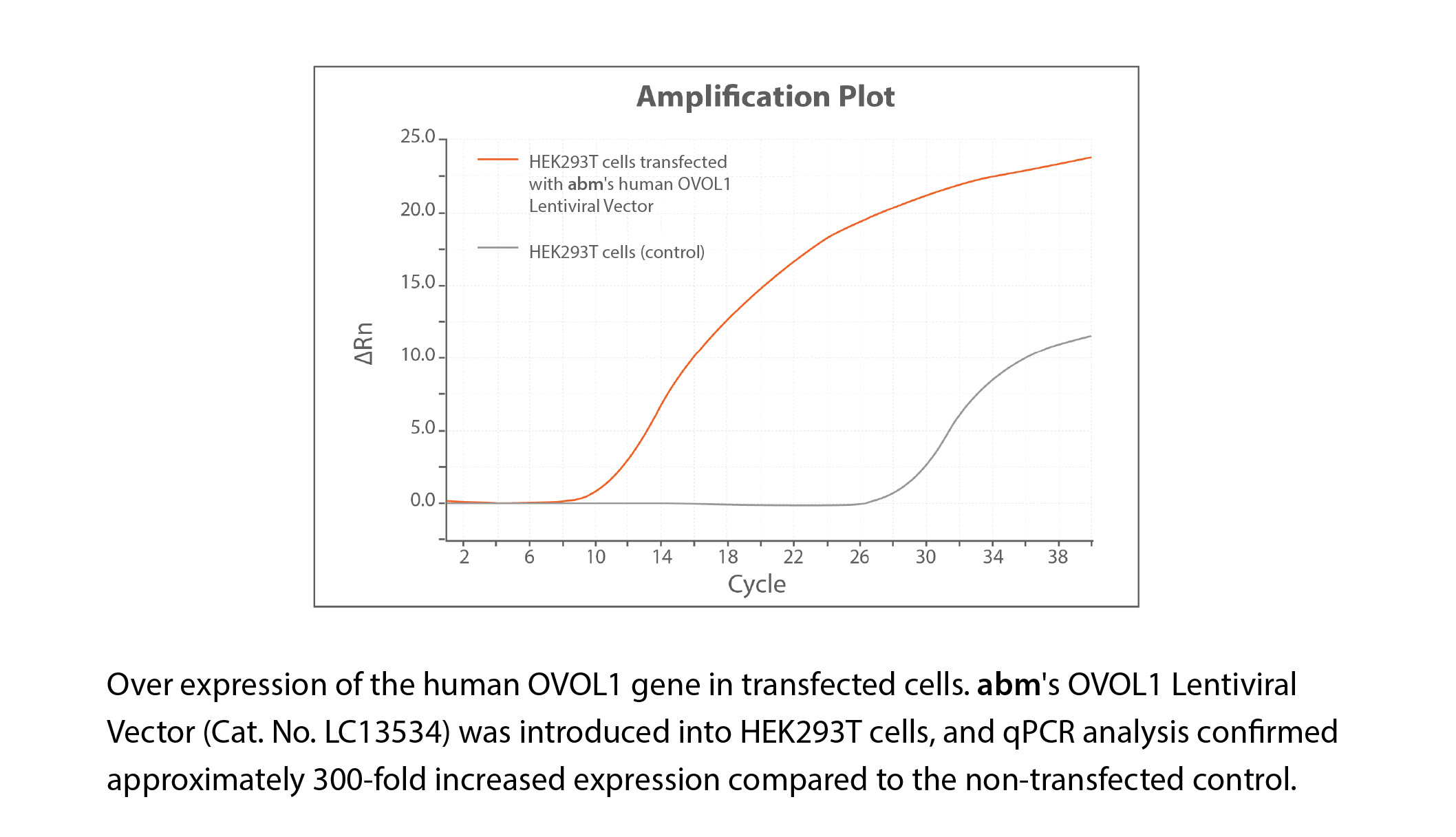 Achieve Up To 300 Fold Over-Expression