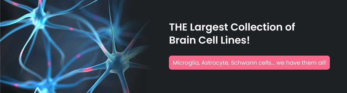 Veterinary Cell Lines