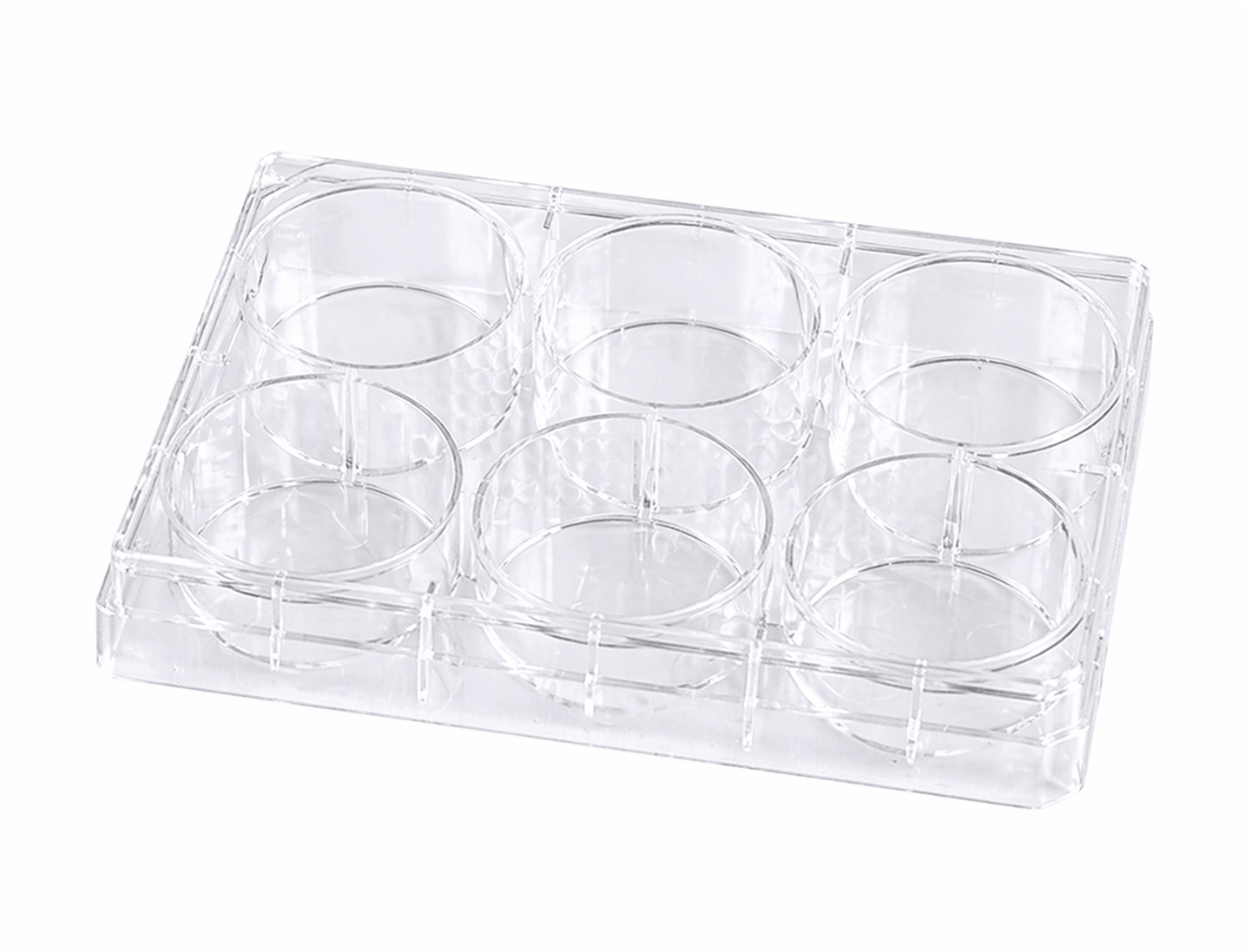 6-Well ULA Plate