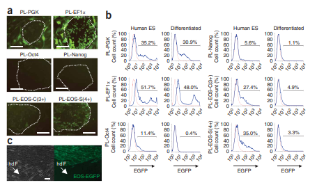 EOS iPSC Reporters published in Nature Methods