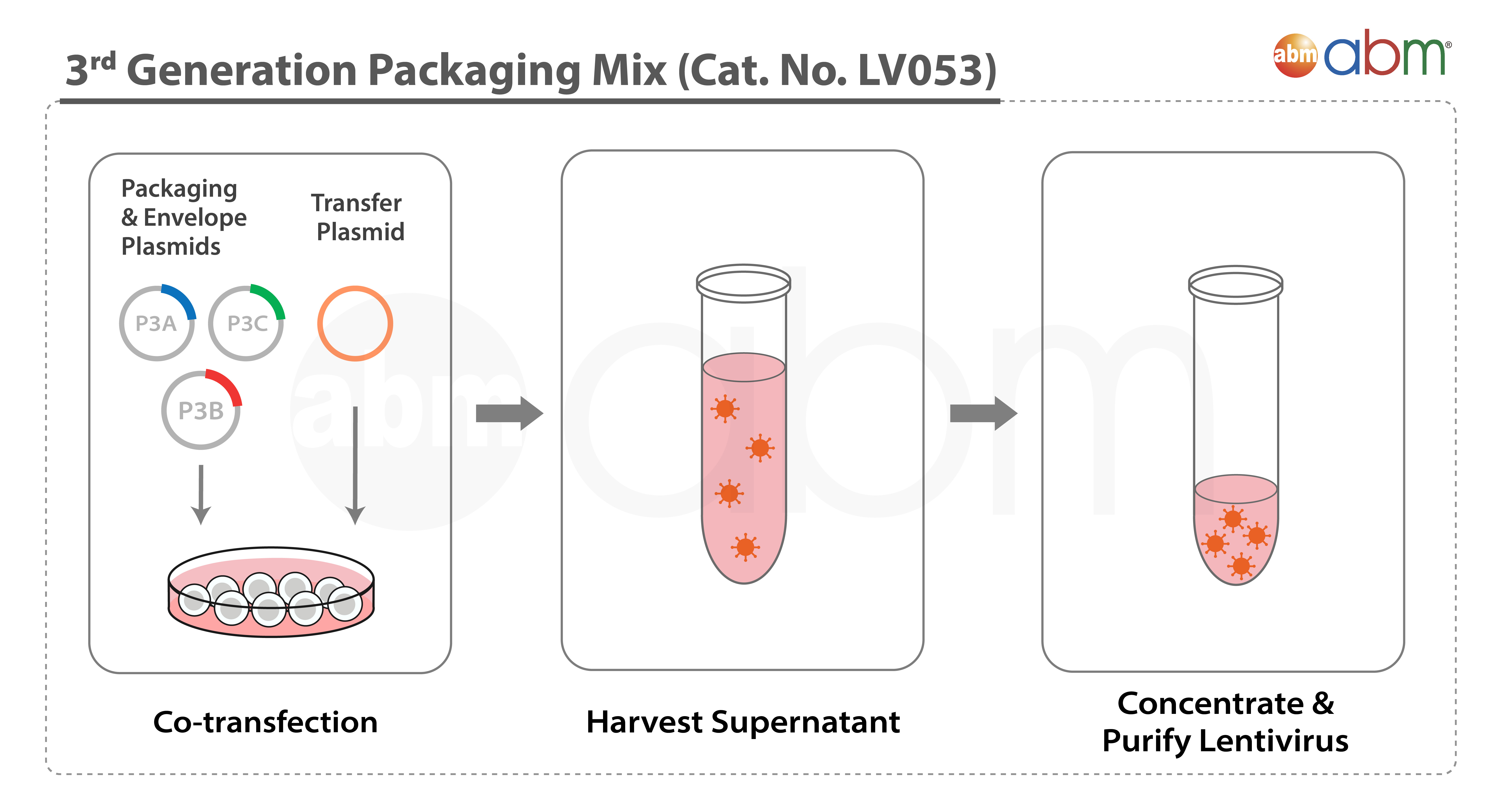 3rd Generation Lentivirus Packaging Mix and DNAfectin™ Plus Bundle